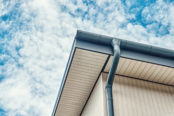 Gutter Fascia Repair in Jasper