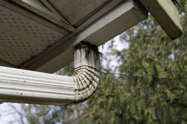 Roof Drain Replacement in Jasper